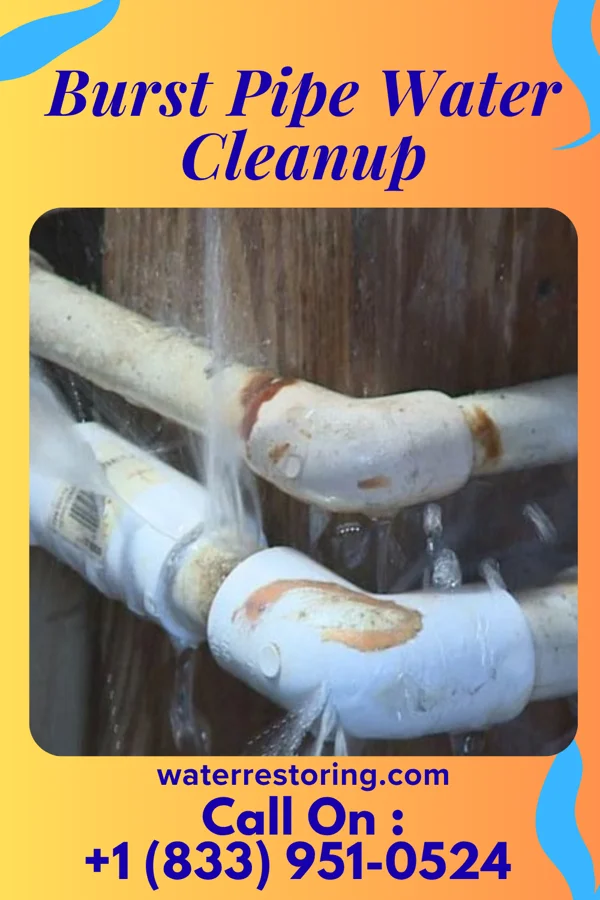 Burst Pipe Water Cleanup in Irwin, MO