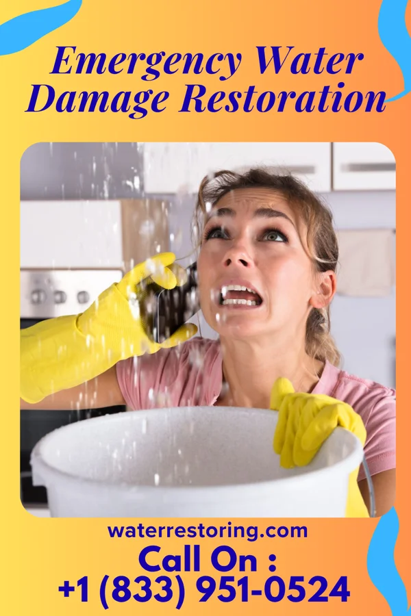 Emergency Water Damage Restoration in Irwin, MO