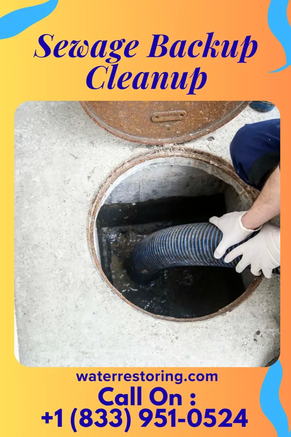 Sewage Backup Cleanup in Irwin, MO