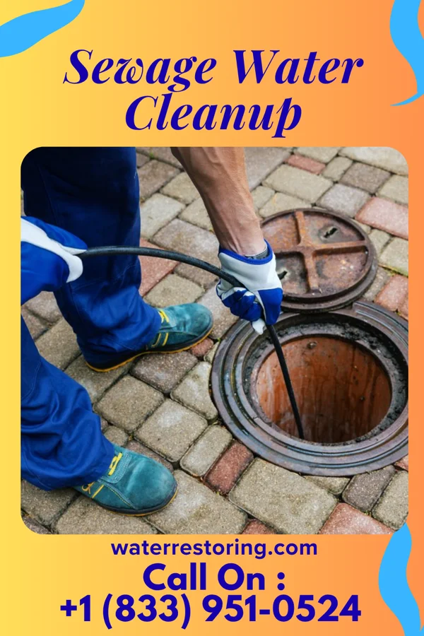 Sewage Water Cleanup in Irwin, MO